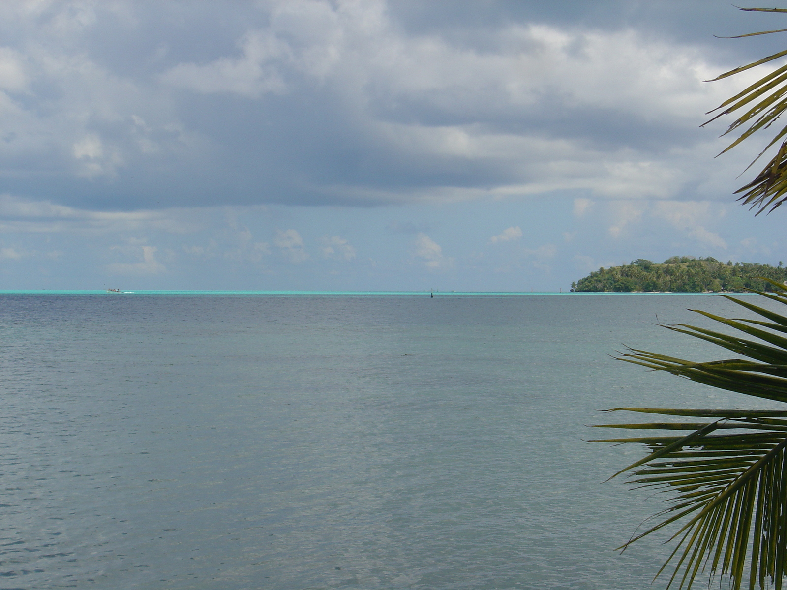 Picture Polynesia Bora Bora 2006-04 65 - Pictures Bora Bora