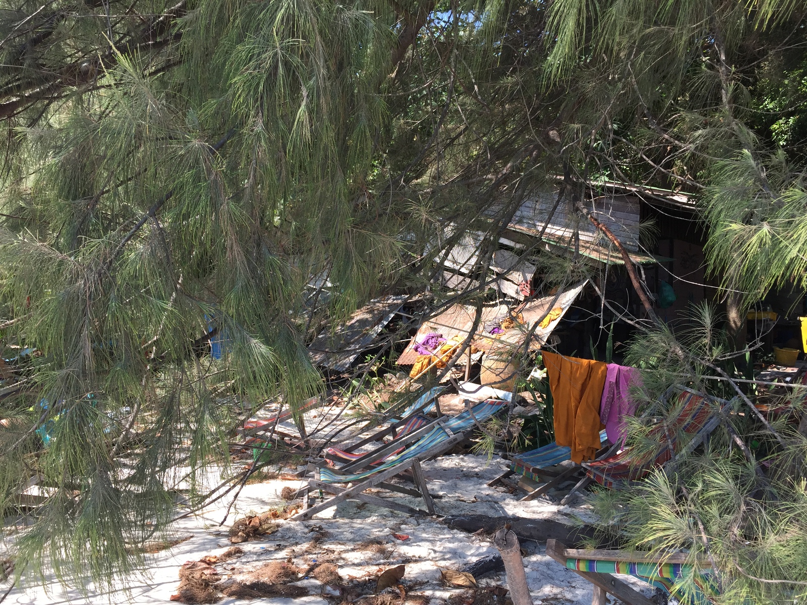 Picture Thailand Koh Samet 2016-01 74 - Photos Koh Samet