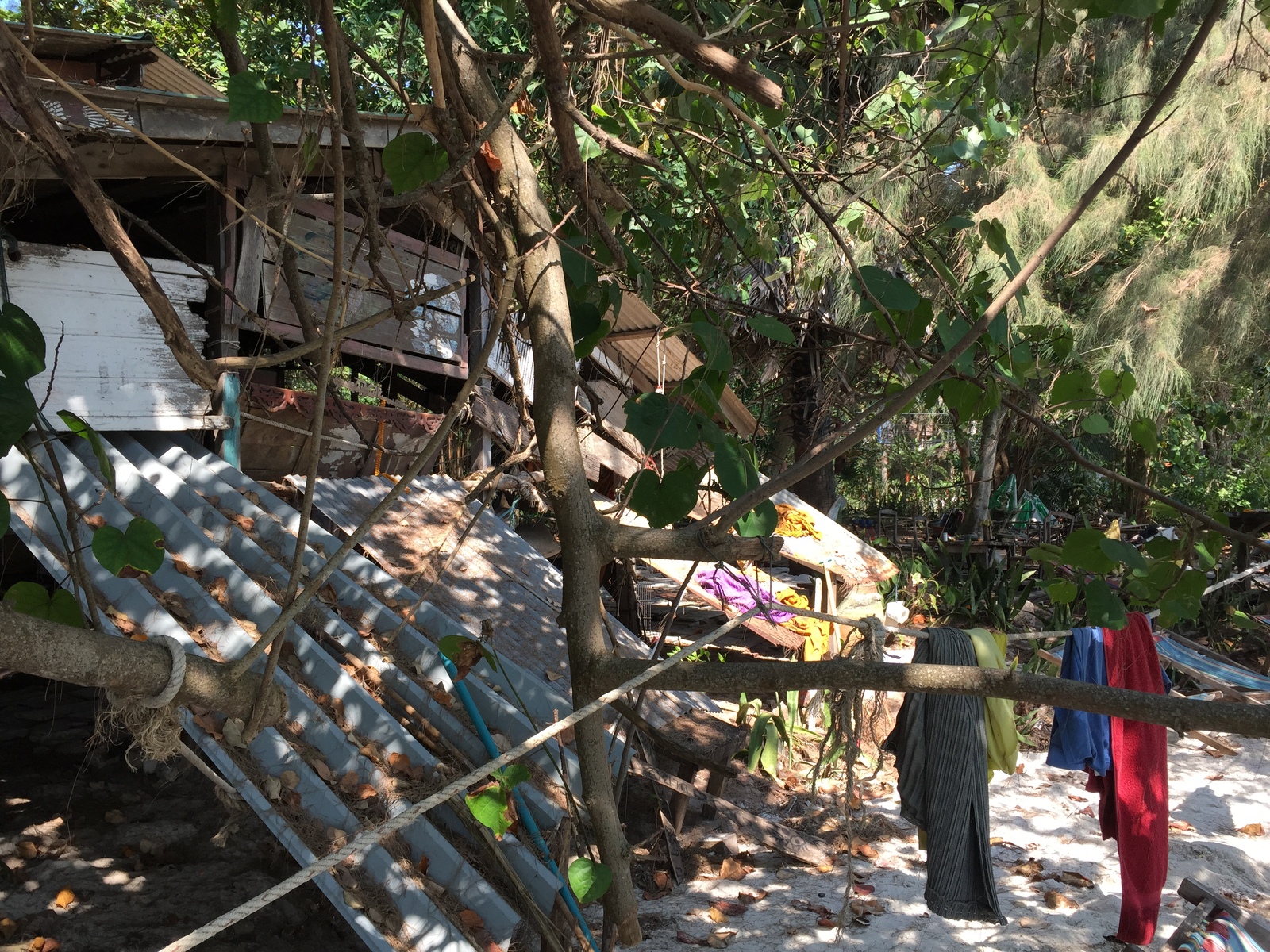 Picture Thailand Koh Samet 2016-01 73 - Perspective Koh Samet