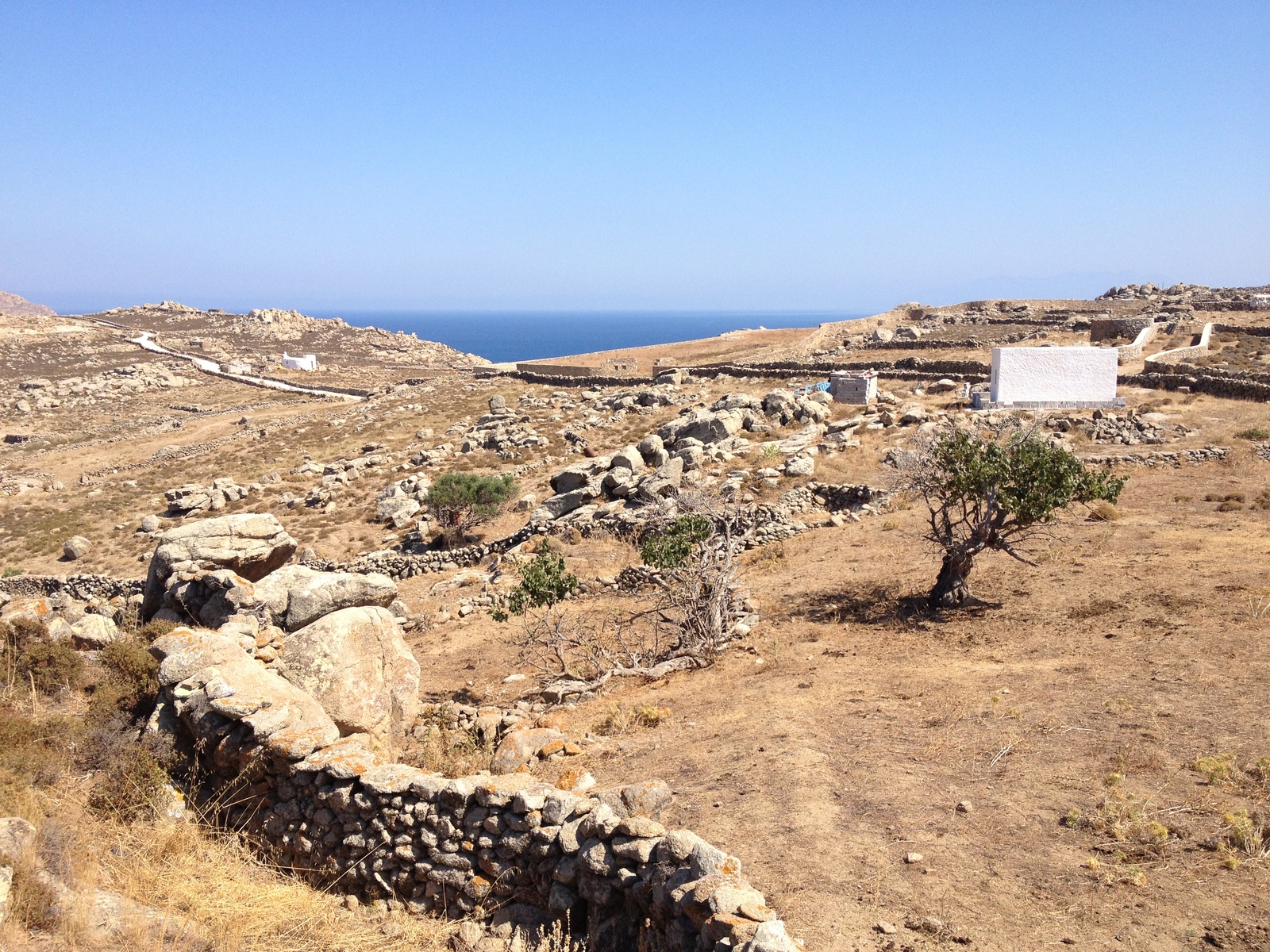 Picture Greece Mykonos 2014-07 25 - Travel Mykonos