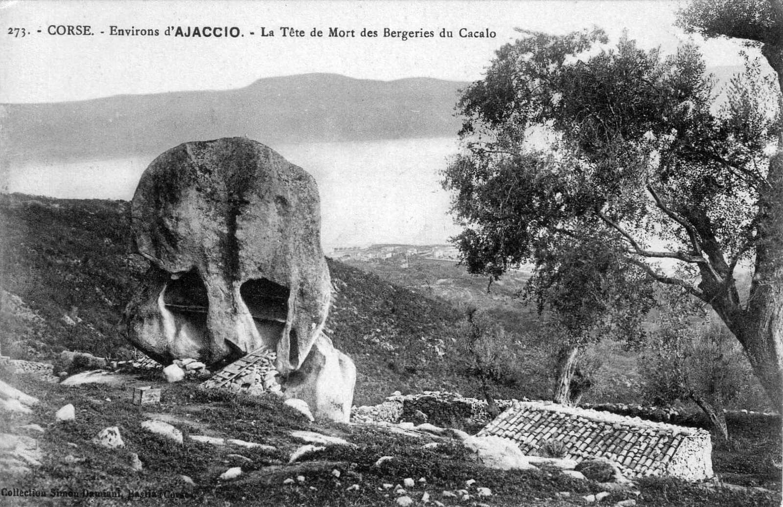 Picture France Corsica Old Postcards 1900-01 336 - View Old Postcards