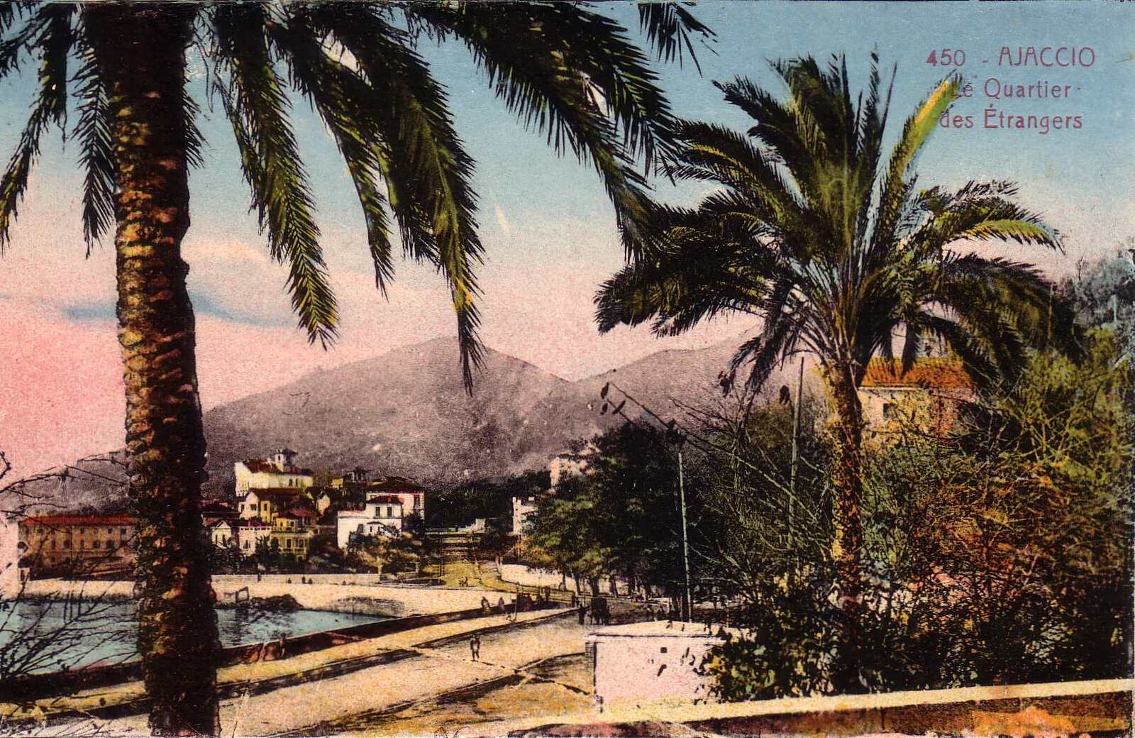 Picture France Corsica Old Postcards 1900-01 289 - Photo Old Postcards