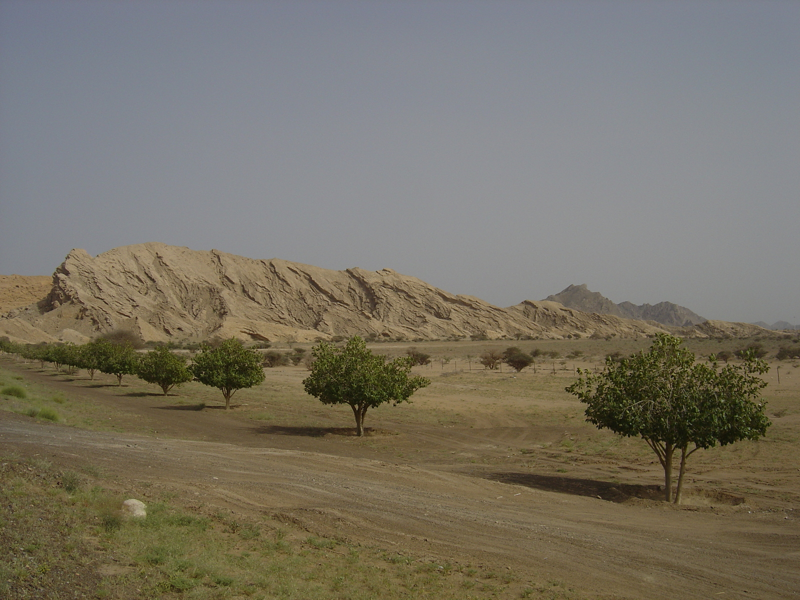 Picture Sultanate of Oman Buraimi to Sohar road 2005-03 7 - Tourist Buraimi to Sohar road