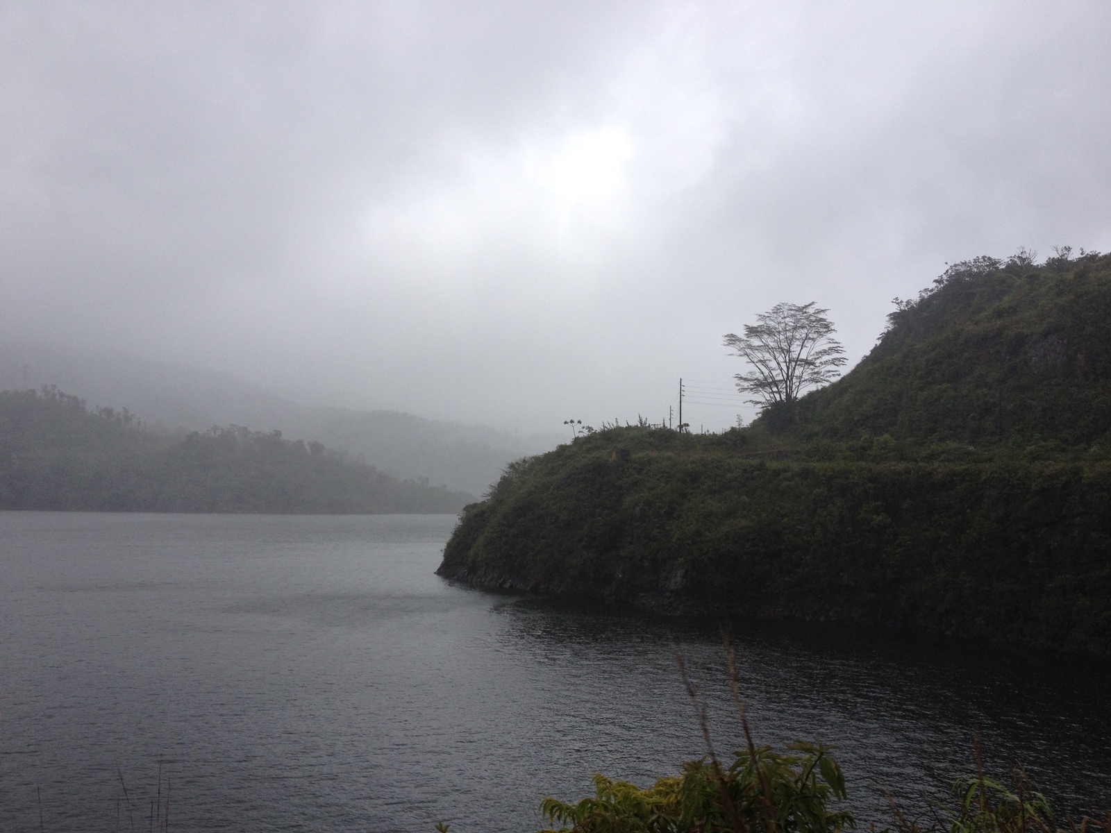 Picture Panama David to Bocas del toro 2015-03 10 - Photographers David to Bocas del toro