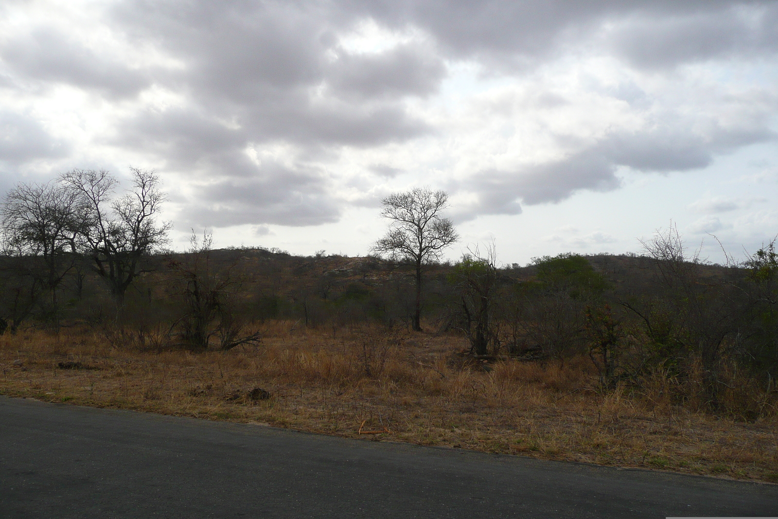 Picture South Africa Kruger National Park 2008-09 87 - Sight Kruger National Park