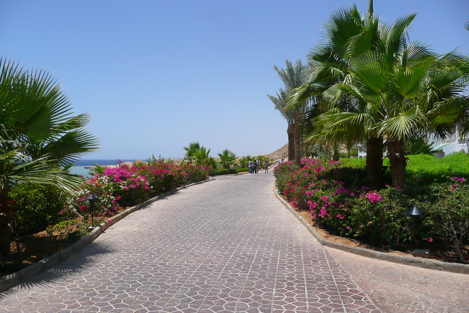 Picture Egypt Sharm el Sheikh Hyatt Hotel 2008-06 72 - Flight Hyatt Hotel