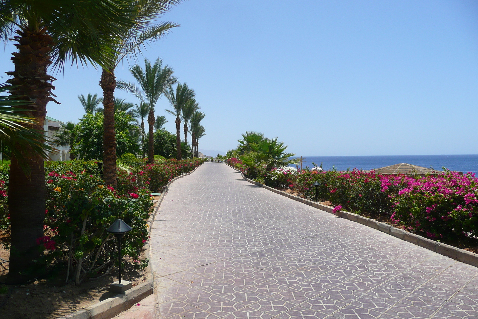 Picture Egypt Sharm el Sheikh Hyatt Hotel 2008-06 55 - Shopping Mall Hyatt Hotel