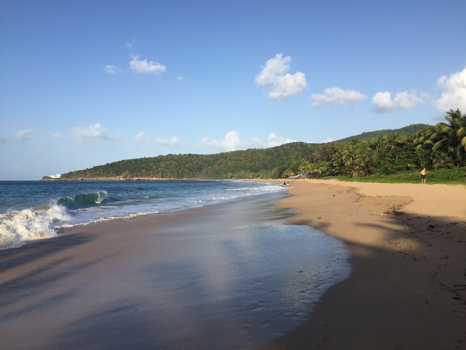 Picture Guadeloupe La Perle Beach 2021-02 100 - Travel La Perle Beach