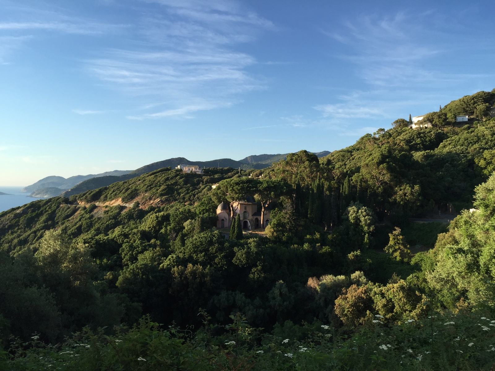 Picture France Corsica Corsican Cape 2015-05 22 - Discover Corsican Cape