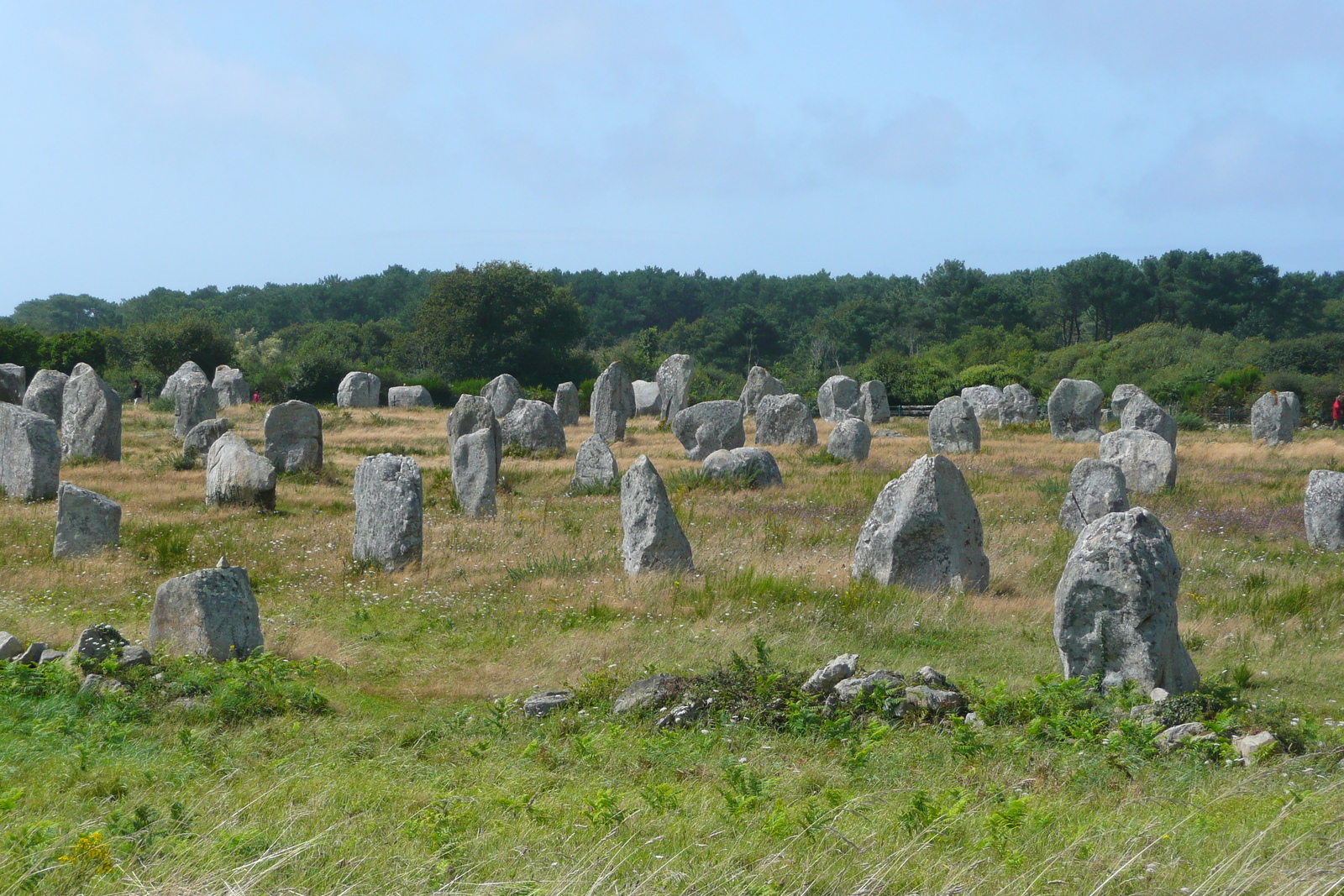 Picture France Carnac 2008-07 13 - Discover Carnac