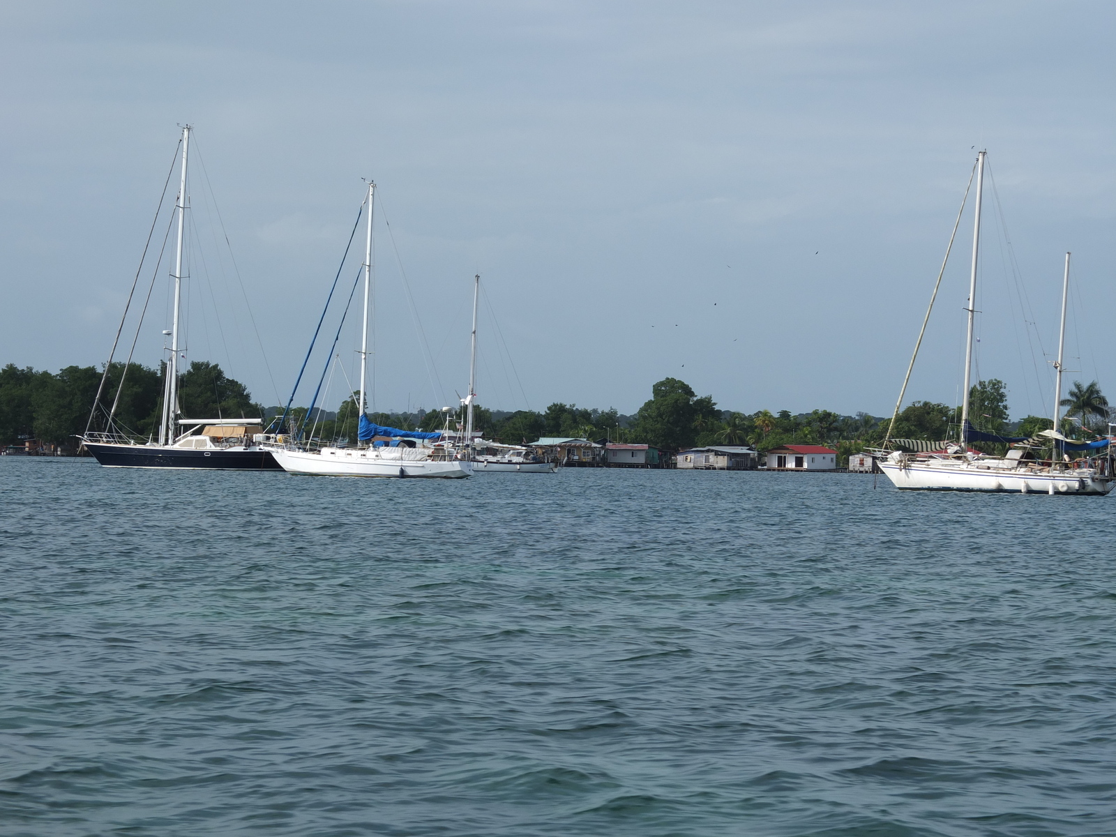 Picture Panama Bocas del toro 2015-03 74 - Store Bocas del toro