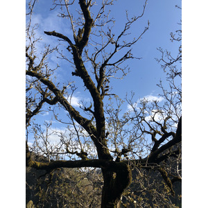 Picture France Conques 2018-04 85 - Photographer Conques