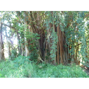 Picture New Caledonia Canala to La Foa road 2010-05 72 - Sight Canala to La Foa road