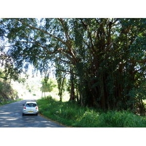 Picture New Caledonia Canala to La Foa road 2010-05 65 - Store Canala to La Foa road