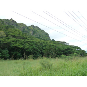 Picture Fiji Nadi to Lautoka road 2010-05 13 - Trips Nadi to Lautoka road