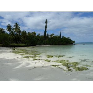 Picture New Caledonia Lifou Baie des tortues 2010-05 25 - Road Map Baie des tortues