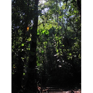 Picture Costa Rica Manuel Antonio 2015-03 11 - Travels Manuel Antonio