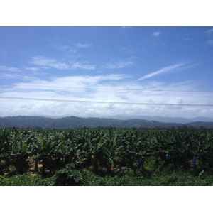 Picture Costa Rica Limon to Siquirres 2015-03 24 - Views Limon to Siquirres