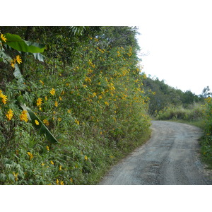 Picture New Caledonia Thio to Canala road 2010-05 65 - Pictures Thio to Canala road