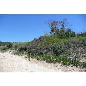 Picture France Porquerolles Island Courtade beach 2008-05 69 - Road Map Courtade beach