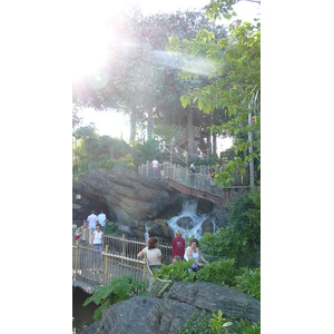 Picture France Disneyland Paris La Cabane des Robinson 2007-07 31 - Discover La Cabane des Robinson