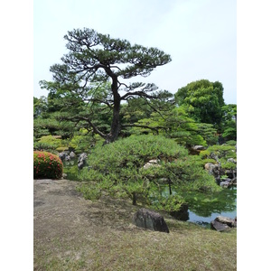 Picture Japan Kyoto Nijo Castle Ninomaru Garden 2010-06 22 - Tourist Places Ninomaru Garden