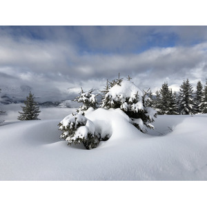 Picture France Praz sur Arly 2019-12 213 - Sight Praz sur Arly