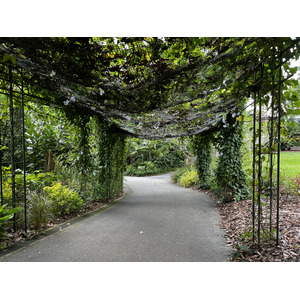 Picture Singapore Singapore Botanic Gardens 2023-01 90 - Perspective Singapore Botanic Gardens