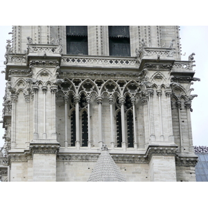 Picture France Paris Notre Dame 2007-05 35 - Sightseeing Notre Dame