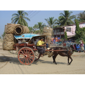 Picture Myanmar Dawei (TAVOY) 2005-01 48 - Pictures Dawei (TAVOY)