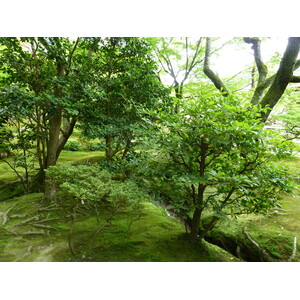 Picture Japan Kyoto Ginkakuji Temple(Silver Pavilion) 2010-06 29 - Road Map Ginkakuji Temple(Silver Pavilion)