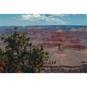 Picture United States Grand Canyon 1992-08 7 - View Grand Canyon