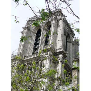 Picture France Paris Notre Dame 2007-05 121 - Perspective Notre Dame