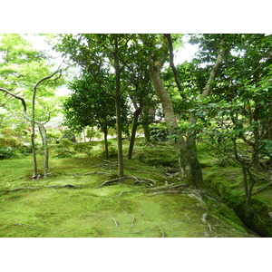 Picture Japan Kyoto Ginkakuji Temple(Silver Pavilion) 2010-06 42 - Trip Ginkakuji Temple(Silver Pavilion)