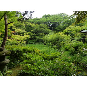 Picture Japan Tokyo Nezu Museum 2010-06 68 - Store Nezu Museum