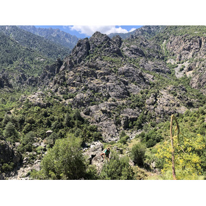 Picture France Corsica Aitone Forest 2021-06 49 - Pictures Aitone Forest