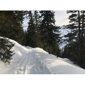 Picture France Praz sur Arly 2019-12 262 - Sight Praz sur Arly