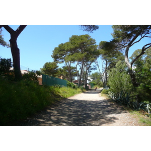 Picture France Porquerolles Island Pointe Bearlieu 2008-05 14 - Photos Pointe Bearlieu