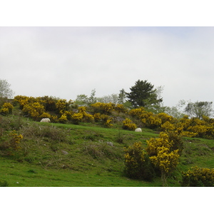 Picture Ireland Kerry Kenmare Templenoe 2004-05 11 - Tourist Templenoe