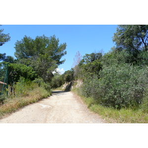 Picture France Porquerolles Island Pointe Bearlieu 2008-05 10 - Road Pointe Bearlieu