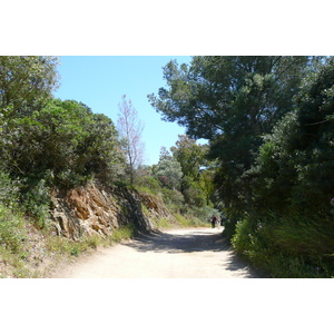 Picture France Porquerolles Island Pointe Bearlieu 2008-05 12 - Flights Pointe Bearlieu