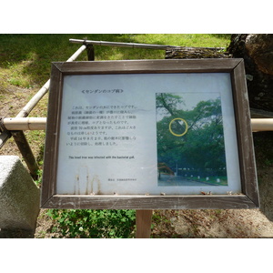 Picture Japan Kyoto Kyoto Gyoen Garden 2010-06 61 - Flight Kyoto Gyoen Garden