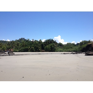 Picture Costa Rica Manuel Antonio 2015-03 77 - Pictures Manuel Antonio