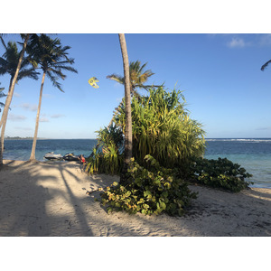 Picture Guadeloupe La Caravelle Beach 2021-02 131 - Visit La Caravelle Beach