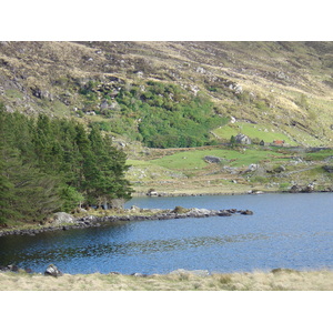 Picture Ireland Kerry Killarney National Park 2004-05 38 - Flights Killarney National Park