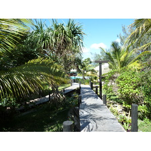 Picture New Caledonia Lifou Drehu Village Hotel 2010-05 87 - Sightseeing Drehu Village Hotel