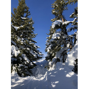 Picture France Praz sur Arly 2019-12 358 - Picture Praz sur Arly