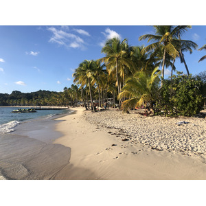 Picture Guadeloupe La Caravelle Beach 2021-02 14 - Photos La Caravelle Beach