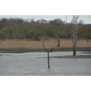 Picture South Africa Kruger National Park Mpondo 2008-09 31 - Picture Mpondo