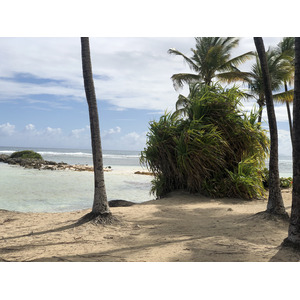 Picture Guadeloupe La Caravelle Beach 2021-02 117 - Road Map La Caravelle Beach